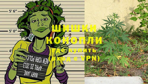 стафф Гусь-Хрустальный