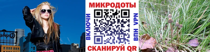 Псилоцибиновые грибы GOLDEN TEACHER  Купить  Краснокаменск 
